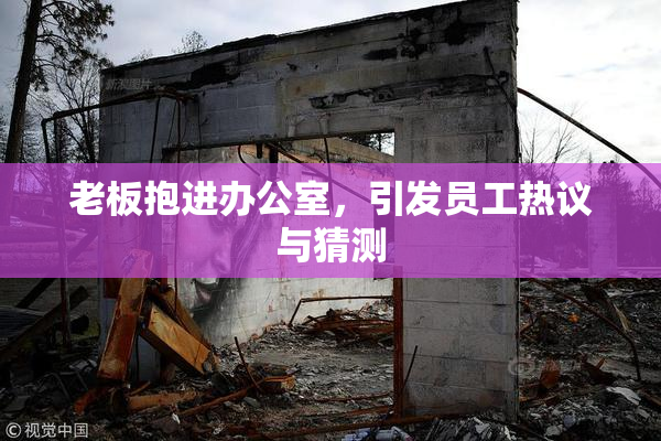 老板抱进办公室，引发员工热议与猜测