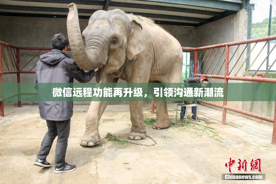 微信远程功能再升级，引领沟通新潮流