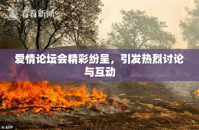 爱情论坛会精彩纷呈，引发热烈讨论与互动