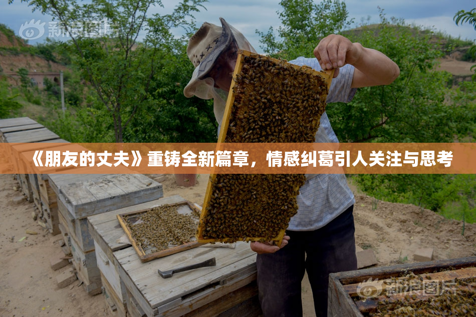 《朋友的丈夫》重铸全新篇章，情感纠葛引人关注与思考