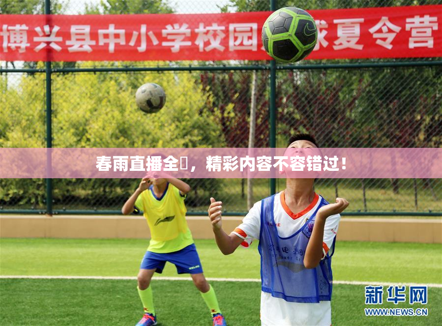 春雨直播全婐，精彩内容不容错过！