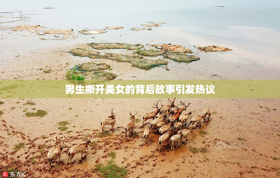 男生撕开美女的背后故事引发热议