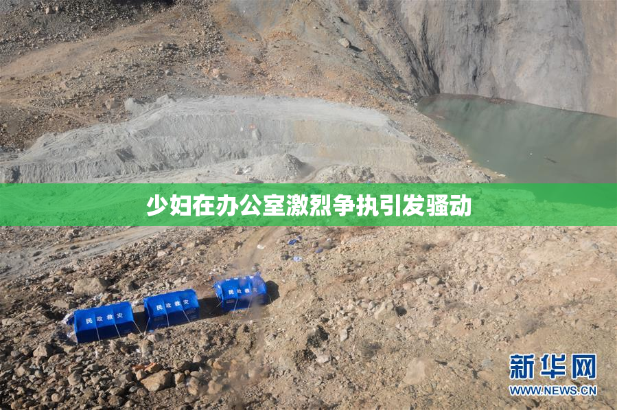 少妇在办公室激烈争执引发骚动