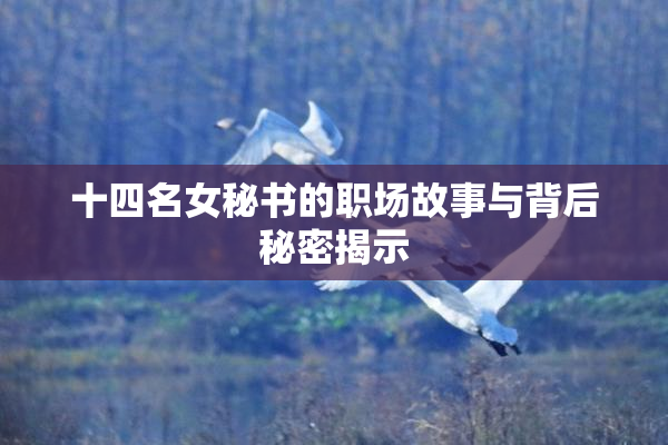 十四名女秘书的职场故事与背后秘密揭示