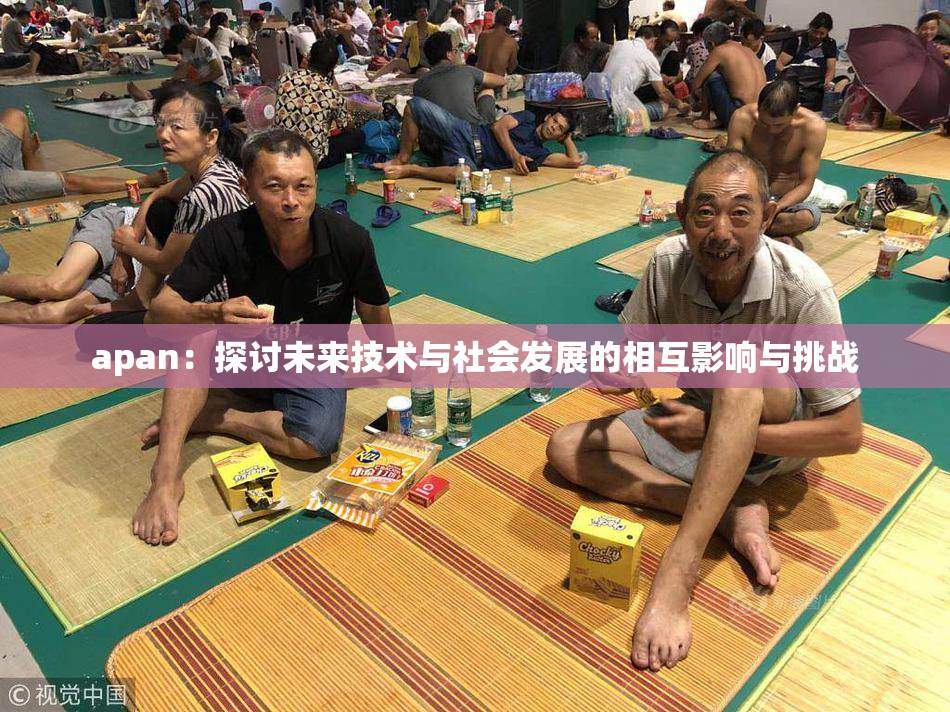 apan：探讨未来技术与社会发展的相互影响与挑战