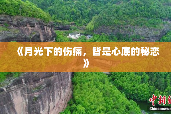 《月光下的伤痛，皆是心底的秘恋》