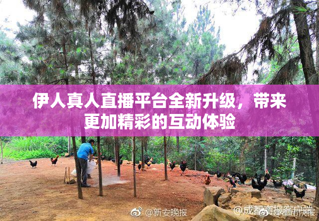 伊人真人直播平台全新升级，带来更加精彩的互动体验
