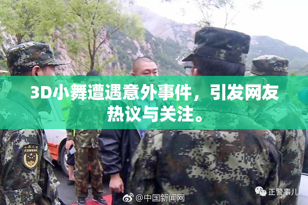 3D小舞遭遇意外事件，引发网友热议与关注。