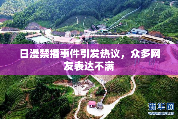 日漫禁播事件引发热议，众多网友表达不满