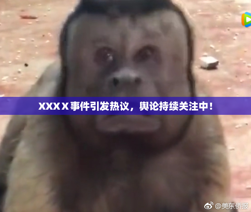 XXXⅩ事件引发热议，舆论持续关注中！