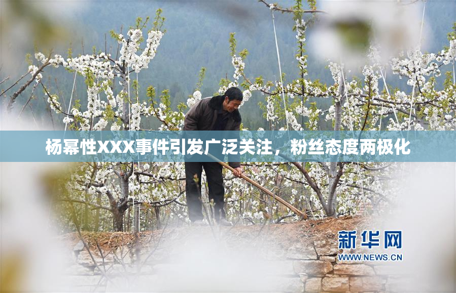 杨幂性XXX事件引发广泛关注，粉丝态度两极化