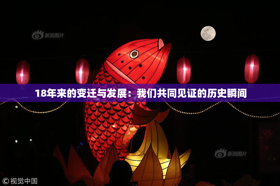 18年来的变迁与发展：我们共同见证的历史瞬间