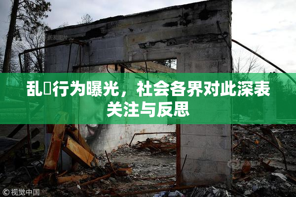 乱婬行为曝光，社会各界对此深表关注与反思