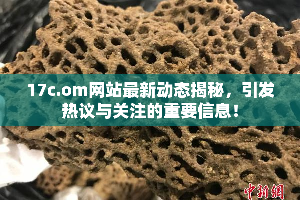 17c.om网站最新动态揭秘，引发热议与关注的重要信息！