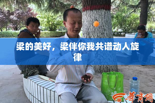 梁的美好，梁伴你我共谱动人旋律