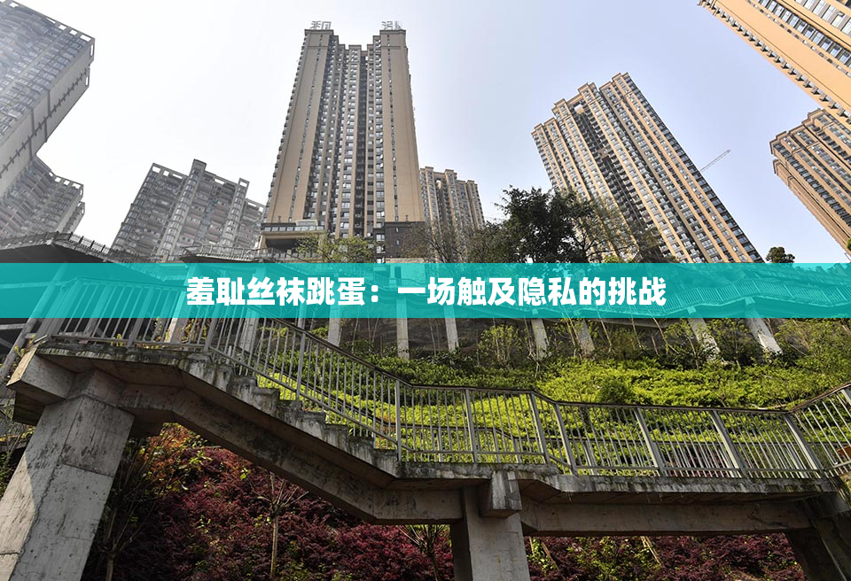 羞耻丝袜跳蛋：一场触及隐私的挑战