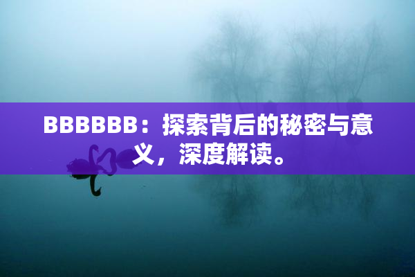 BBBBBB：探索背后的秘密与意义，深度解读。