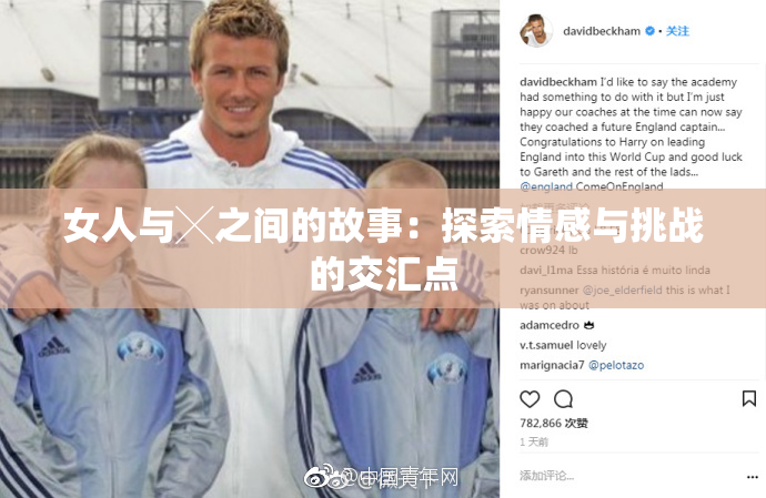 女人与╳之间的故事：探索情感与挑战的交汇点