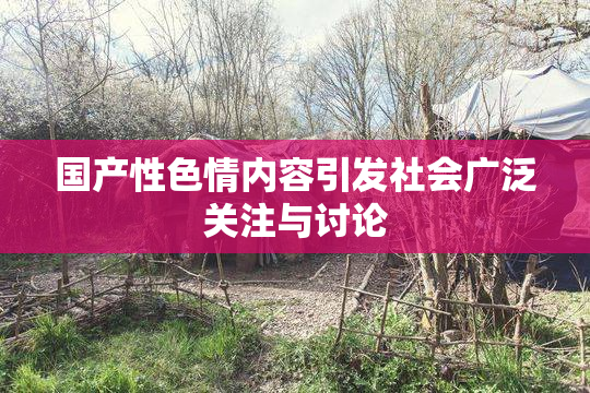国产性色情内容引发社会广泛关注与讨论