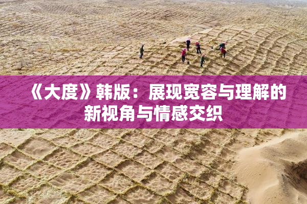 《大度》韩版：展现宽容与理解的新视角与情感交织