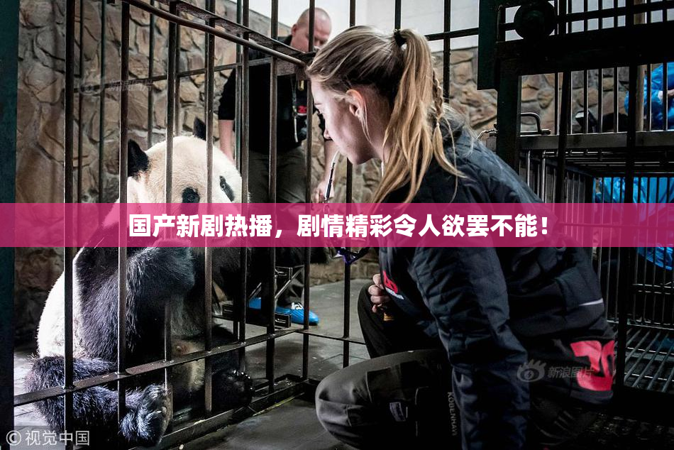 国产新剧热播，剧情精彩令人欲罢不能！