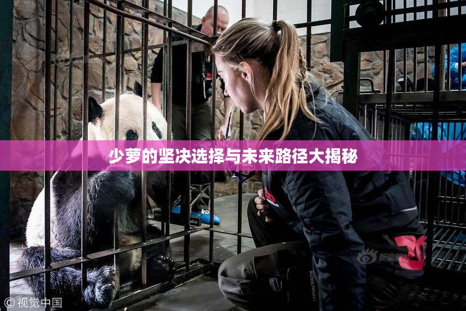 少萝的坚决选择与未来路径大揭秘