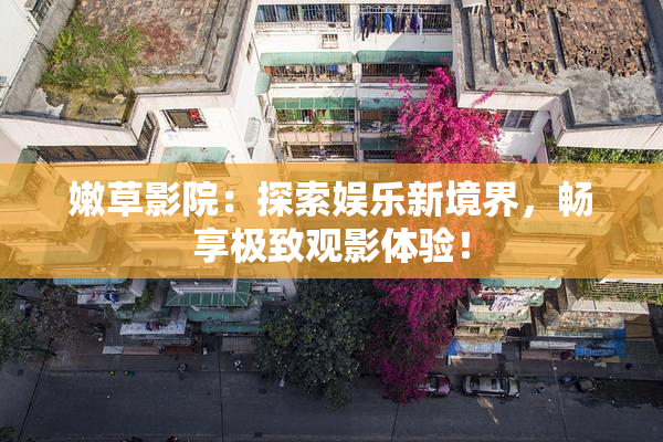 嫩草影院：探索娱乐新境界，畅享极致观影体验！