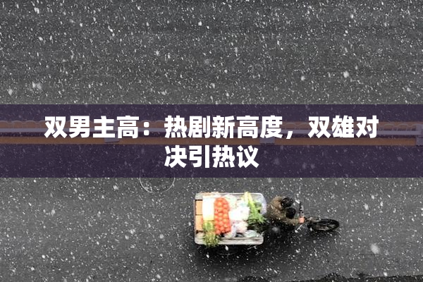 双男主高：热剧新高度，双雄对决引热议