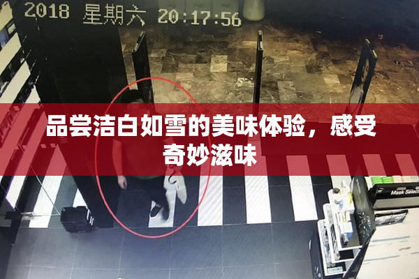品尝洁白如雪的美味体验，感受奇妙滋味