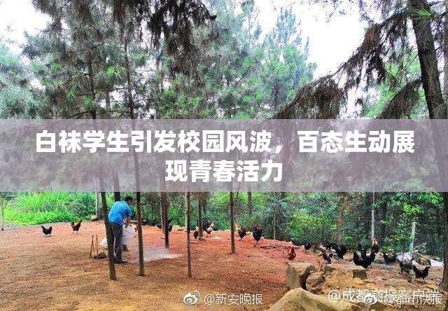 白袜学生引发校园风波，百态生动展现青春活力