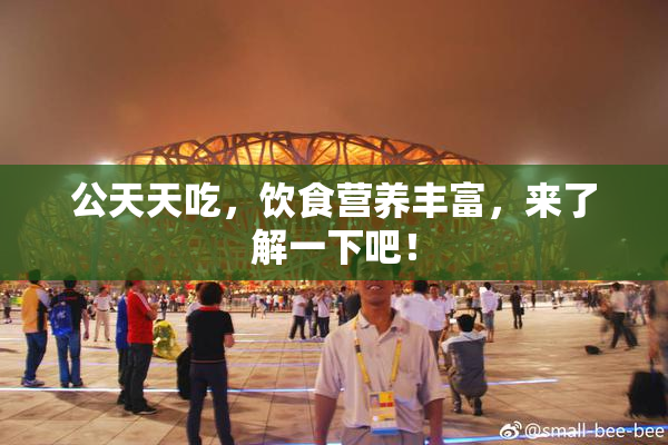 公天天吃，饮食营养丰富，来了解一下吧！