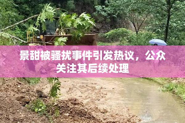 景甜被骚扰事件引发热议，公众关注其后续处理