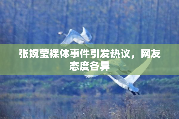 张婉莹裸体事件引发热议，网友态度各异