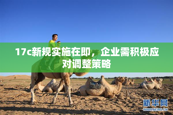 17c新规实施在即，企业需积极应对调整策略