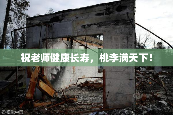 祝老师健康长寿，桃李满天下！