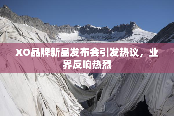 XO品牌新品发布会引发热议，业界反响热烈