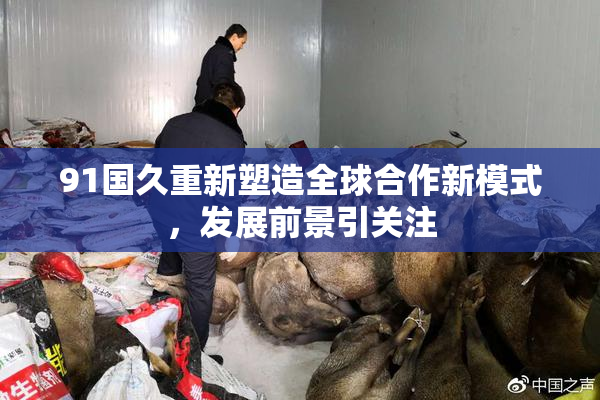 91国久重新塑造全球合作新模式，发展前景引关注