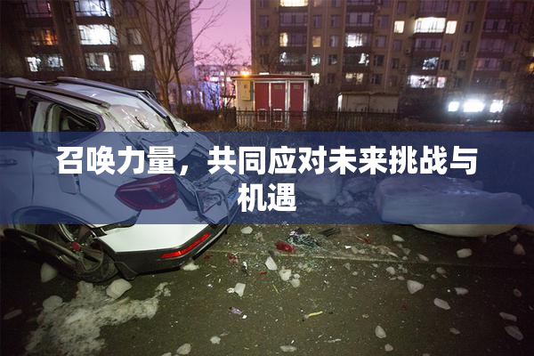召唤力量，共同应对未来挑战与机遇
