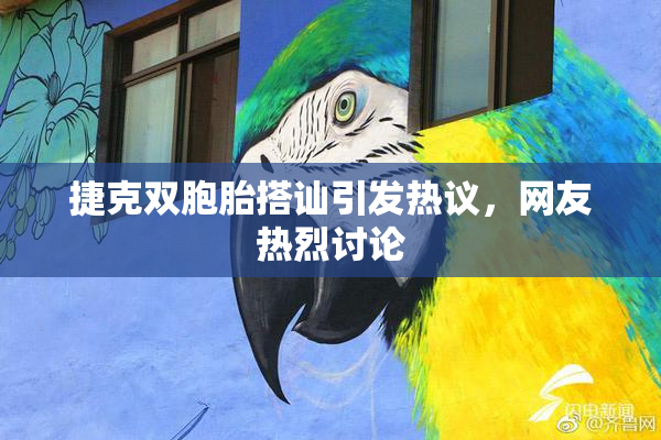 捷克双胞胎搭讪引发热议，网友热烈讨论