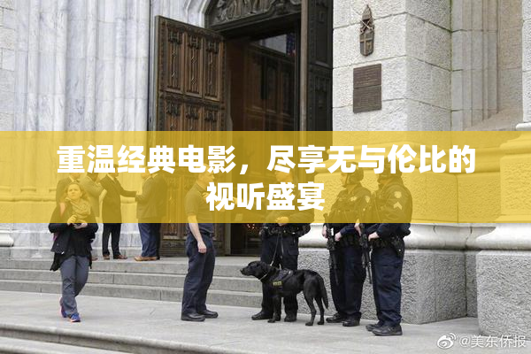 重温经典电影，尽享无与伦比的视听盛宴