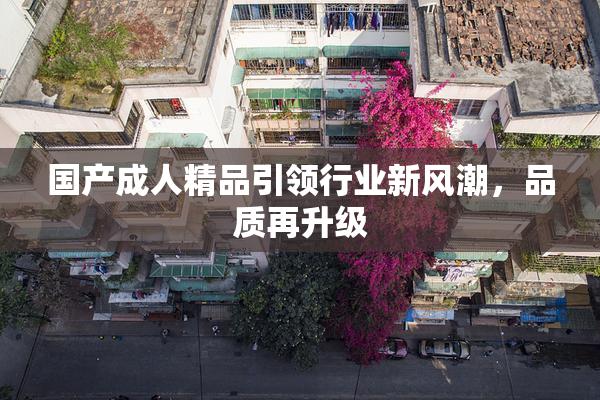 国产成人精品引领行业新风潮，品质再升级
