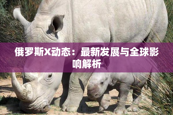 俄罗斯X动态：最新发展与全球影响解析