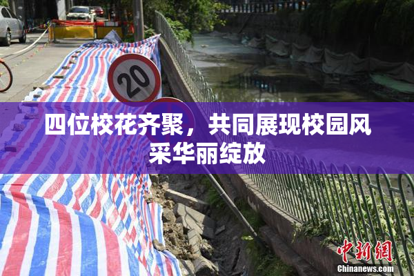 四位校花齐聚，共同展现校园风采华丽绽放