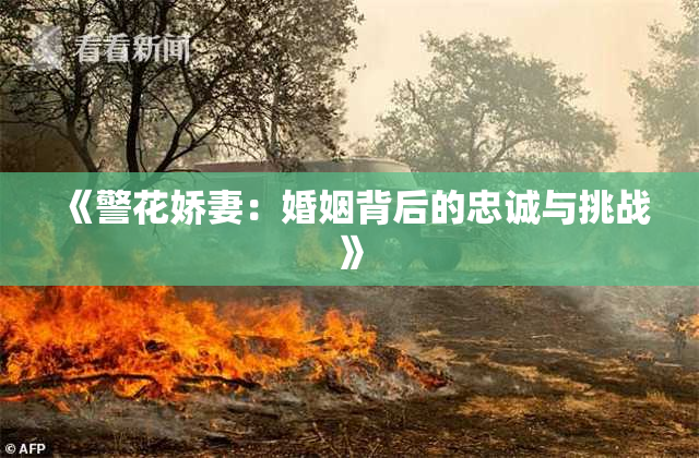 《警花娇妻：婚姻背后的忠诚与挑战》