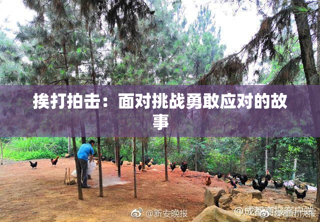 挨打拍击：面对挑战勇敢应对的故事