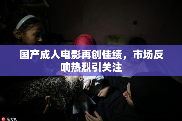 国产成人电影再创佳绩，市场反响热烈引关注