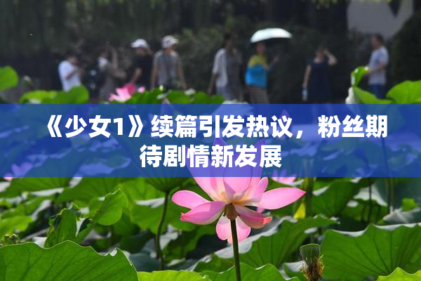 《少女1》续篇引发热议，粉丝期待剧情新发展