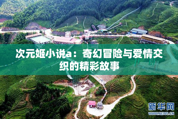 次元姬小说a：奇幻冒险与爱情交织的精彩故事