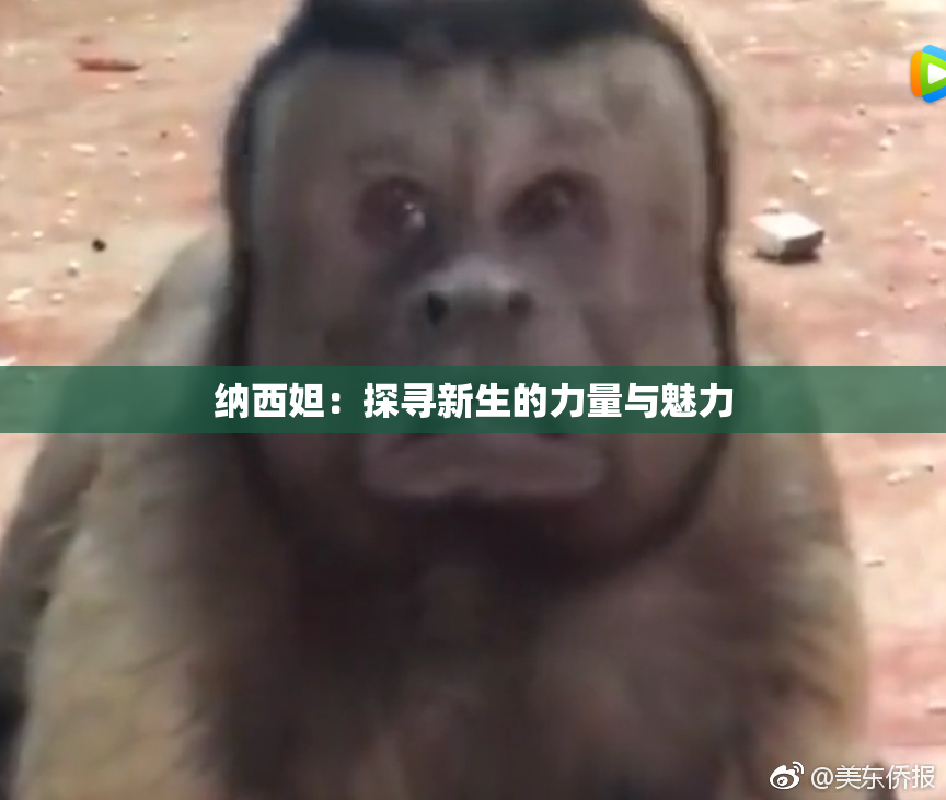 纳西妲：探寻新生的力量与魅力