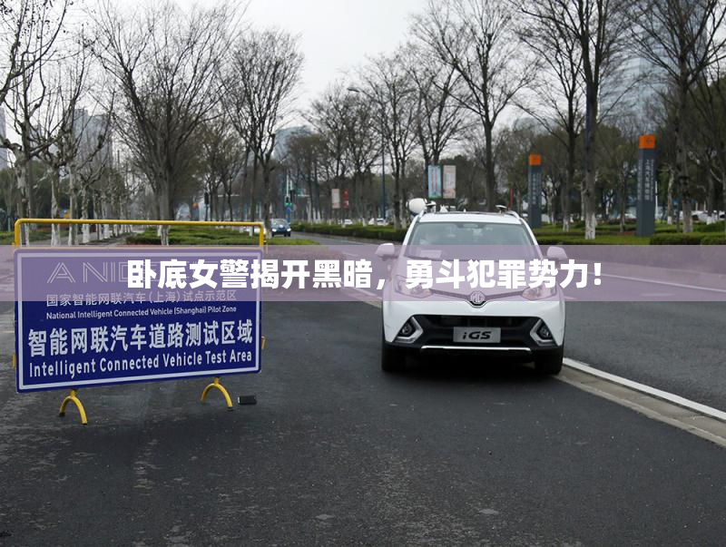 卧底女警揭开黑暗，勇斗犯罪势力！